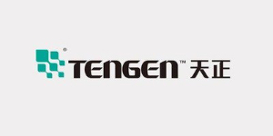 Tengen